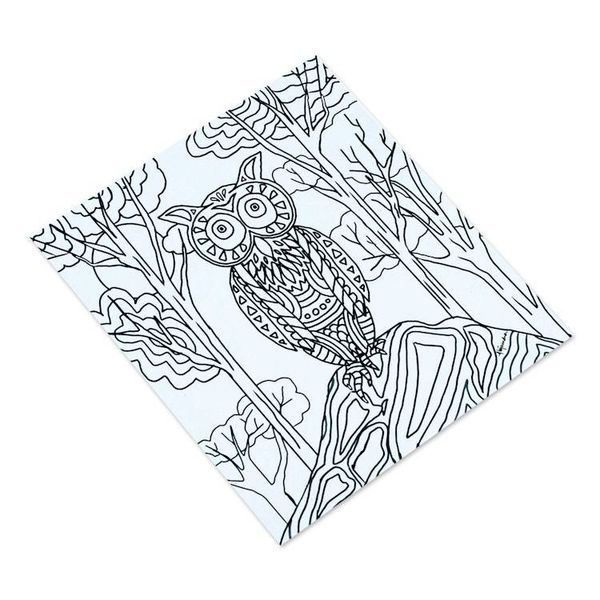 Alternate image for Mexican Bird Themed Coloring Postcards Pair Bird Enchantment