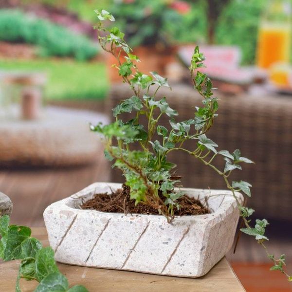 Alternate image for Rectangular Reclaimed Stone Flower Pot from Mexico Striped Rectangle