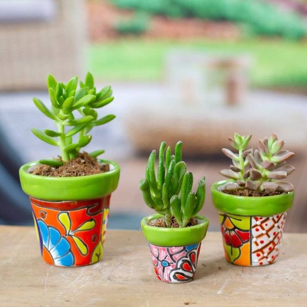 Alternate image for Set of 3 Hand-Painted Talavera Ceramic Flower Pots in Kiwi Flourishing Flora