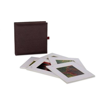 Alternate image for Set of 5 Thai Nature Theme Color Photographs Patterns of Life