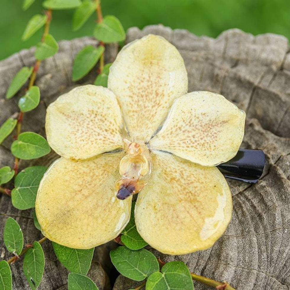 Resin-Coated Yellow Natural Orchid Hair Clip from Thailand 'Yellow Whisper'
