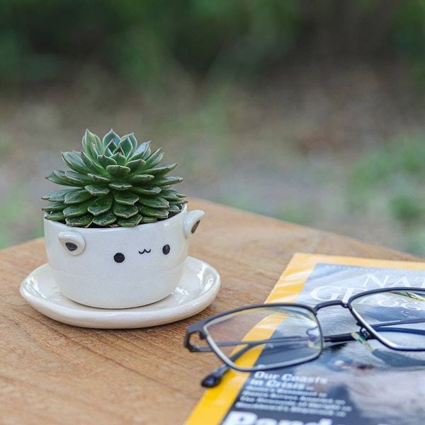 Alternate image for Cat-Themed Ceramic Mini Flower Pot with Saucer in Ivory Kitty Charm