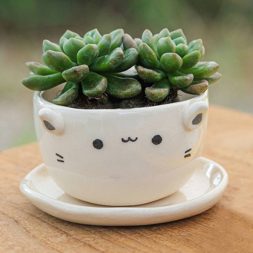 Handcrafted Ivory Ceramic Cat Mini Flower Pot with Saucer 'Kitty Grace'