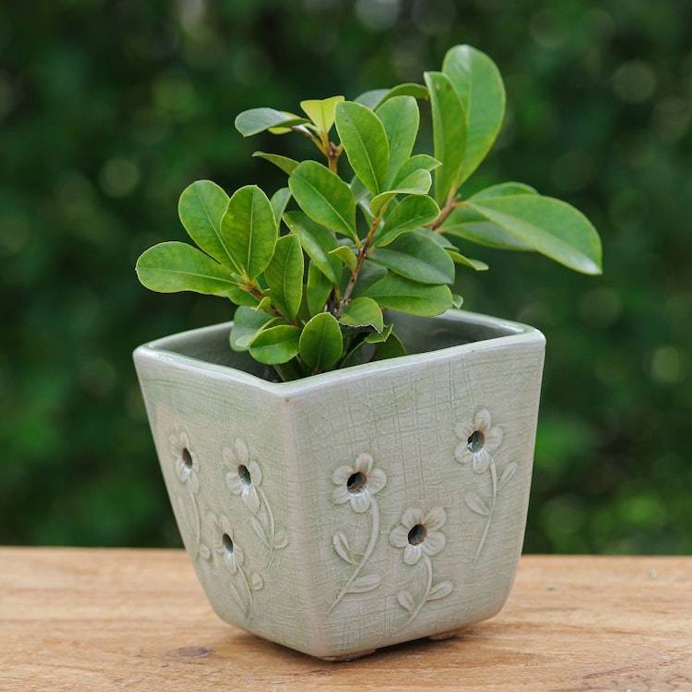 Main item image