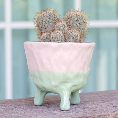 Primary image for Hand-Painted Ceramic Flower Pot in Pink and Green Tones Pink Roots