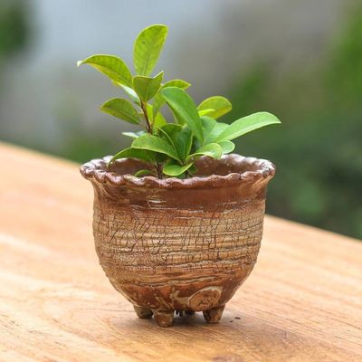 Alternate image for Handcrafted Crackled-Finish Earthy Brown Ceramic Flower Pot Earth Steps