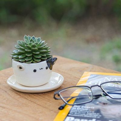 Alternate image for Cat-Themed Ivory Black Ceramic Mini Flower Pot with Saucer Kitty Delight