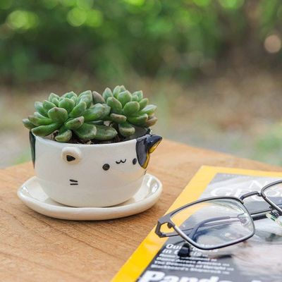 Alternate image for Handcrafted Cat-Shaped Ceramic Mini Flower Pot with Saucer Kitty Magic