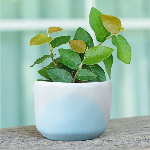 Alternate image for Handcrafted Ceramic Flower Pot with White and Blue Tones Dazzling Bud