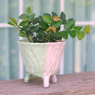 Primary image for Handcrafted Leafy Ceramic Flower Pot in Green and Pink Tones Green Roots