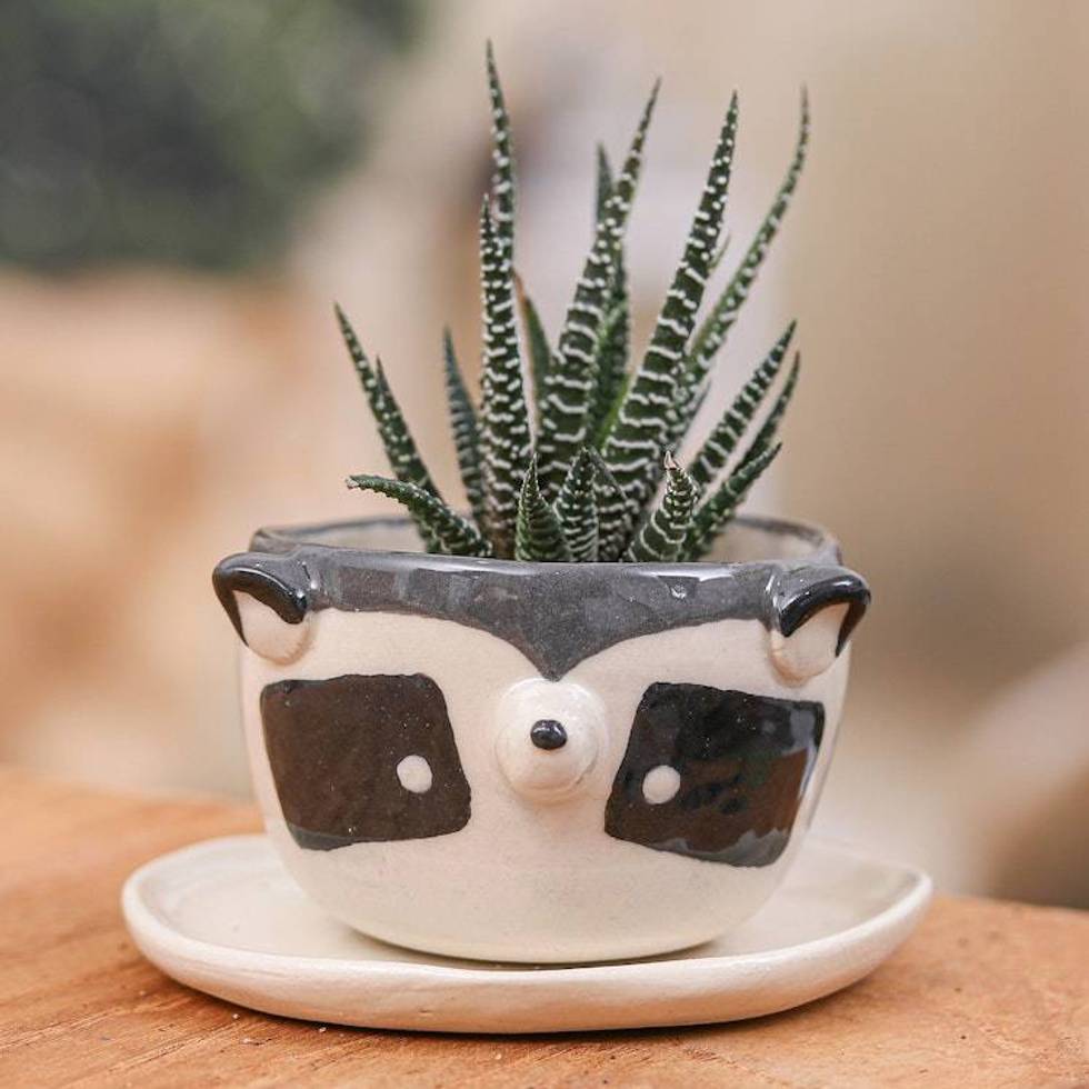 Raccoon-Themed Ceramic Mini Flower Pot and Saucer Small 'Raccoon Spring'