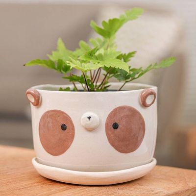 Alternate image for Brown Panda Ceramic Flower Pot and Saucer Set Extra Large Brown Panda Nature