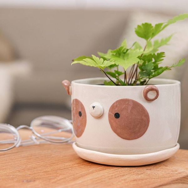 Alternate image for Brown Panda Ceramic Flower Pot and Saucer Set Extra Large Brown Panda Nature