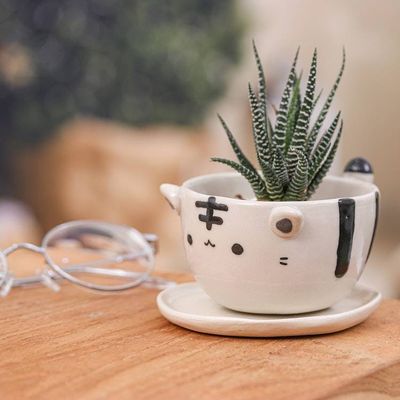 Alternate image for Thai-Made White Tiger Ceramic Flower Pot and Saucer Medium White Tiger Epoch