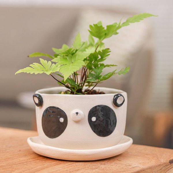 Alternate image for Hand-Painted Panda-Shaped Ceramic Flower Pot and Saucer Set Panda Blossoming