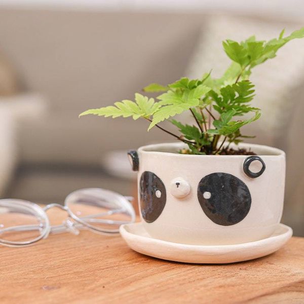 Alternate image for Hand-Painted Panda-Shaped Ceramic Flower Pot and Saucer Set Panda Blossoming