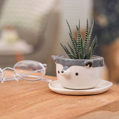 Alternate image for Hand-Painted Ceramic Wolf Mini Flower Pot and Saucer Small Wolf Spring
