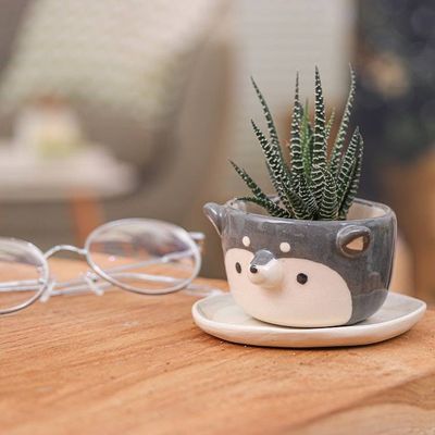 Alternate image for Thai Husky Dog-Themed Mini Flower Pot and Saucer Small Husky Spring