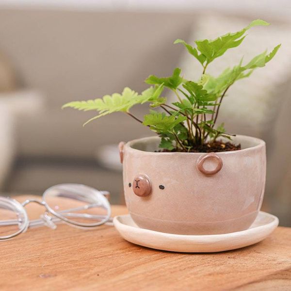 Alternate image for Thai Bear-Themed Glazed Ceramic Flower Pot and Saucer Set Bear Blossoming