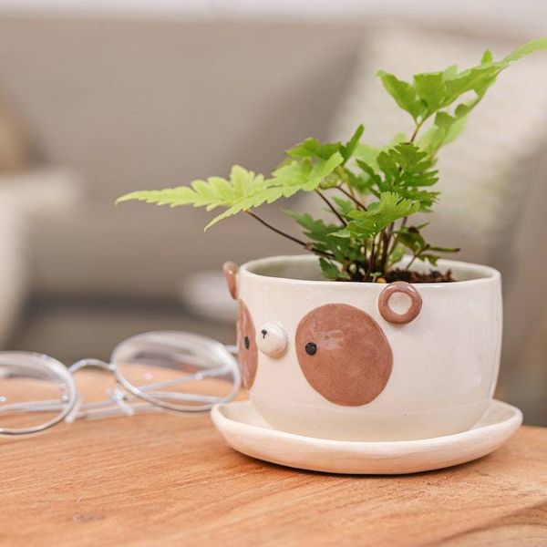 Alternate image for Painted Brown Panda-Shaped Ceramic Flower Pot and Saucer Set Brown Panda Blossoming