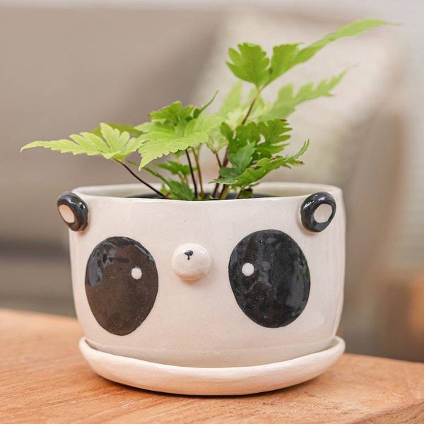 Alternate image for Panda-Themed Ceramic Flower Pot and Saucer Set Extra Large Panda Nature