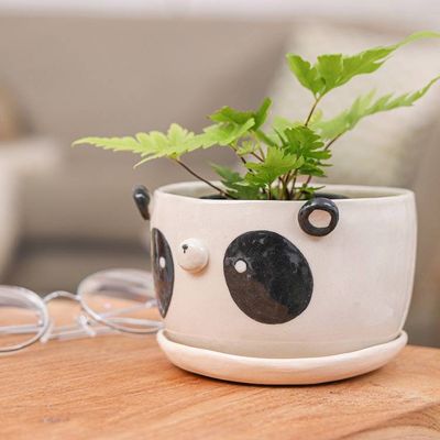 Alternate image for Panda-Themed Ceramic Flower Pot and Saucer Set Extra Large Panda Nature