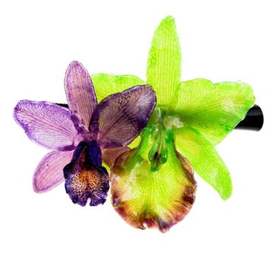Alternate image for Purple and Green Natural Cattleya Flower Resin Hair Clip Fairy Cattleya