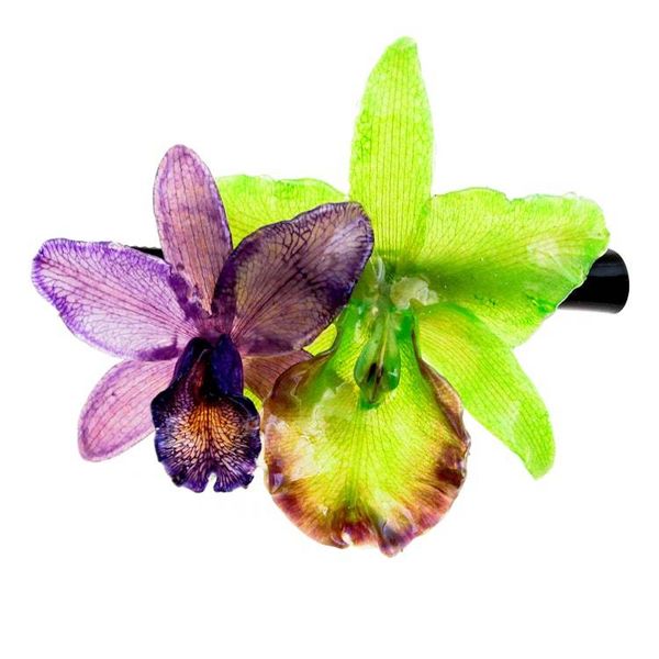 Alternate image for Purple and Green Natural Cattleya Flower Resin Hair Clip Fairy Cattleya