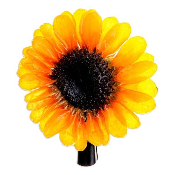 Alternate image for Spring-Themed Thai Artisan-Made Natural Sunflower Hair Clip Sunflower Day