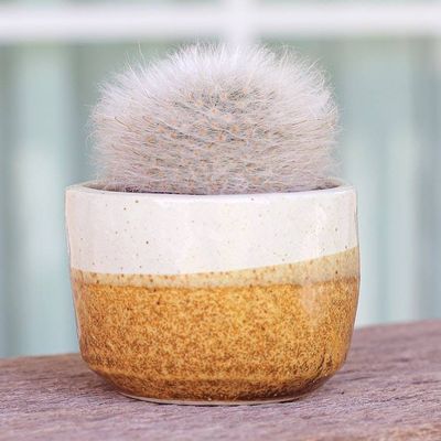 Primary image for Handcrafted Ceramic Flower Pot with Brown Tones Brown Bud
