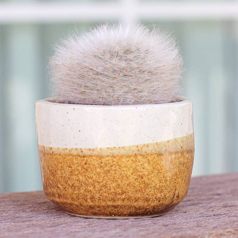 Handcrafted Ceramic Flower Pot with Brown Tones 'Brown Bud'
