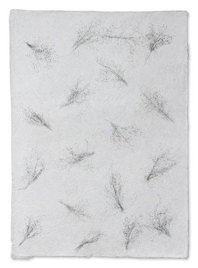 Alternate image for Saa Wrapping Paper Set of 4 Winter Garden