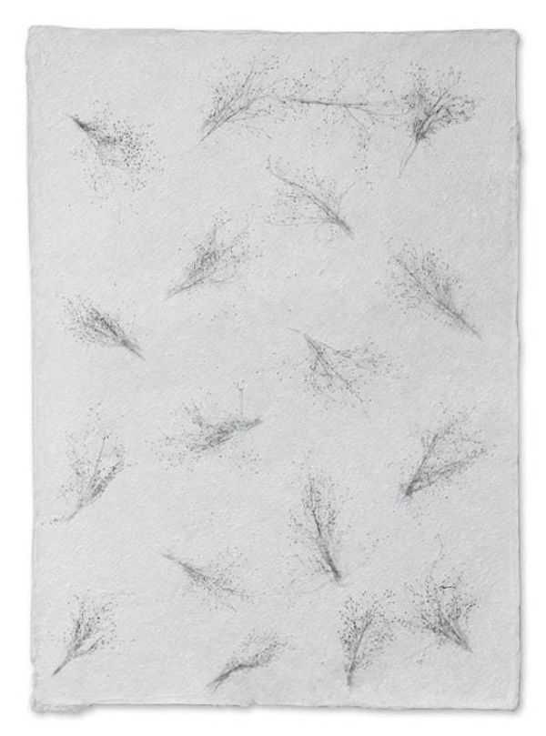 Alternate image for Saa Wrapping Paper Set of 4 Winter Garden