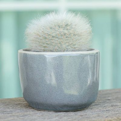 Alternate image for Handcrafted Ceramic Flower Pot with Polished Grey Surface Grey Bud