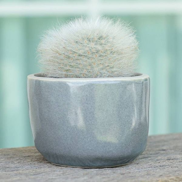 Alternate image for Handcrafted Ceramic Flower Pot with Polished Grey Surface Grey Bud
