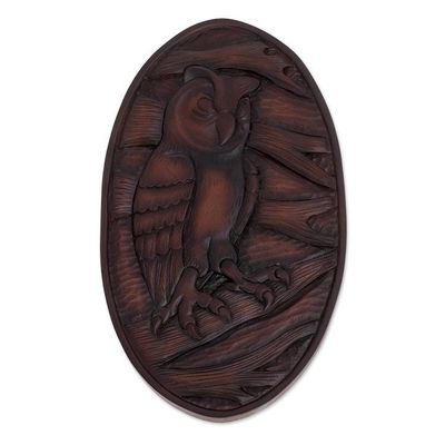 Alternate image for Owl-Themed Pochote Wood Relief Panel from Costa Rica Owl Watcher
