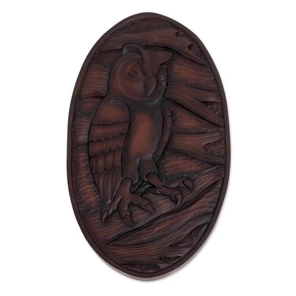 Alternate image for Owl-Themed Pochote Wood Relief Panel from Costa Rica Owl Watcher