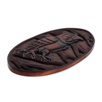 Alternate image for Owl-Themed Pochote Wood Relief Panel from Costa Rica Owl Watcher