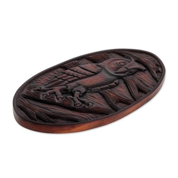 Alternate image for Owl-Themed Pochote Wood Relief Panel from Costa Rica Owl Watcher
