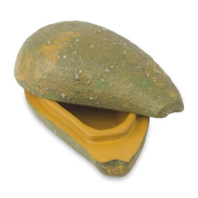 Alternate image for Hand Carved Green Avocado Shaped Wood Box from Ghana Rustic Avocado