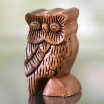 Alternate image for Owl Theme Wood Puzzle Box The Owls Secret