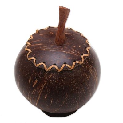Alternate image for Coconut Shell Decorative Box Hand Carved in Bali Berry Keeper