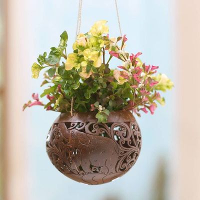 Alternate image for Hand Crafted Coconut Shell Hanging Planter Tropical House in Elephant