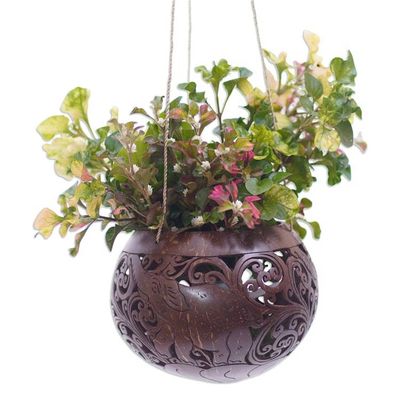 Alternate image for Hand Crafted Coconut Shell Hanging Planter Tropical House in Elephant