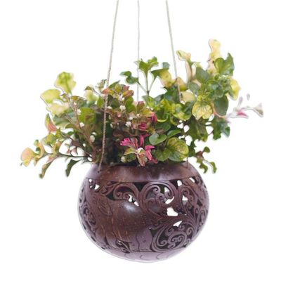 Alternate image for Hand Crafted Coconut Shell Hanging Planter Tropical House in Elephant