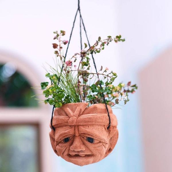 Alternate image for Carved Coconut Shell Hanging Planter Dont Worry