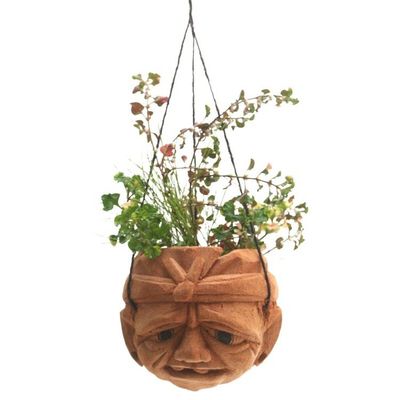 Alternate image for Carved Coconut Shell Hanging Planter Dont Worry