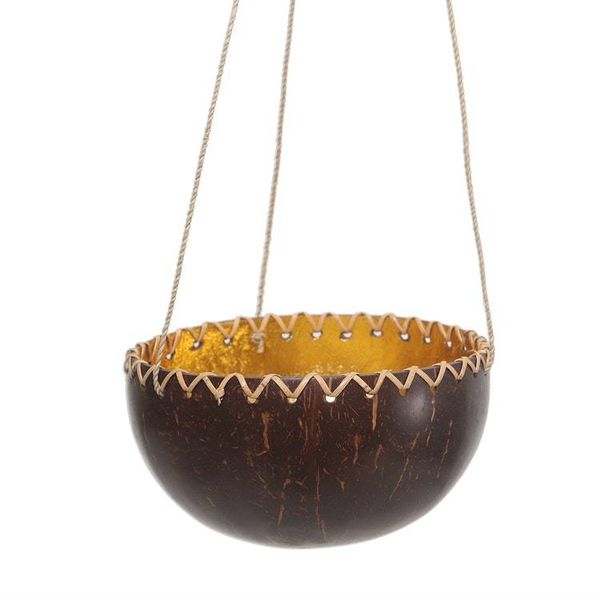 Alternate image for Hanging Coconut Shell Plant Pot Clean Environment