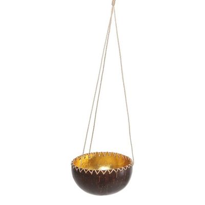 Alternate image for Hanging Coconut Shell Plant Pot Clean Environment