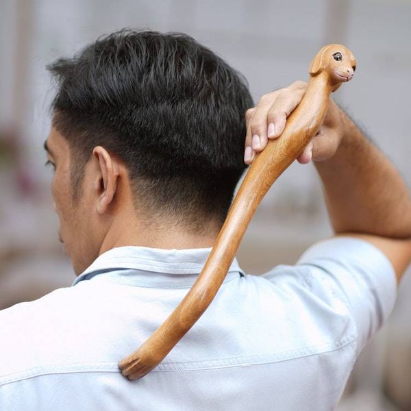 Alternate image for Dachshund Dog Paw Wood Back Scratcher Hand Carved in Bali Dachshund Delight in Natural